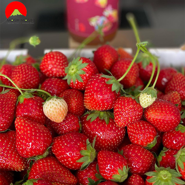 Rượu sake Tsukinoi làm từ dâu Nhật Bản