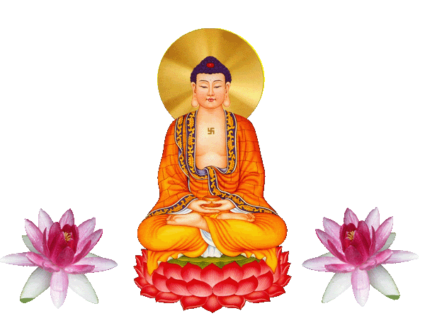 ĐỒNG TIỀN HAI MẶT