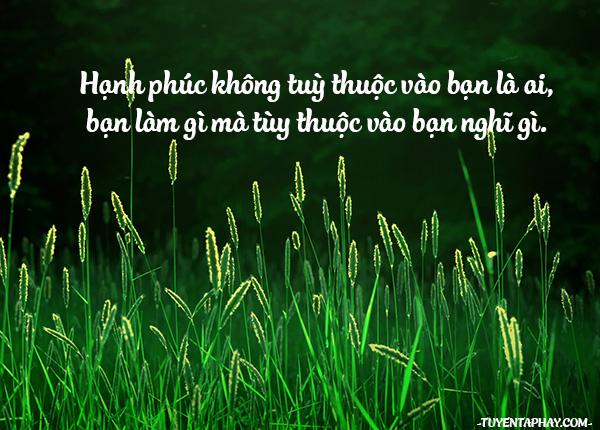 Nghĩ đơn giản, sống đơn thuần, để có một cuộc đời an tĩnh…