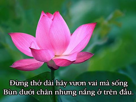 Học cách tự mình bước đi