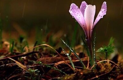 Đừng lập gia đình sớm dù bất cứ lý do nào!!!