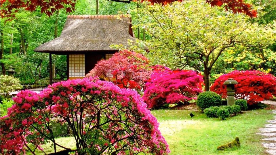 Bao giờ chúng ta ngừng kiếm tiền và biết cách hưởng thụ