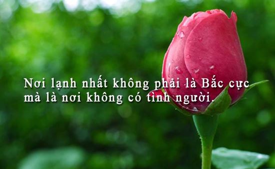 Gian nan hoạn nạn mới biết được lòng người!