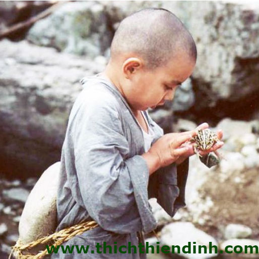 TRÍ TUỆ CỦA KẺ KHỜ