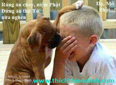 Khi Bị Tổn Thương