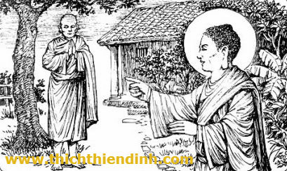 Cuộc đời chỉ cần một mái nhà, một người bạn tri kỷ là đủ
