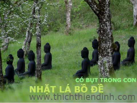 CÓ BỤT TRONG CON