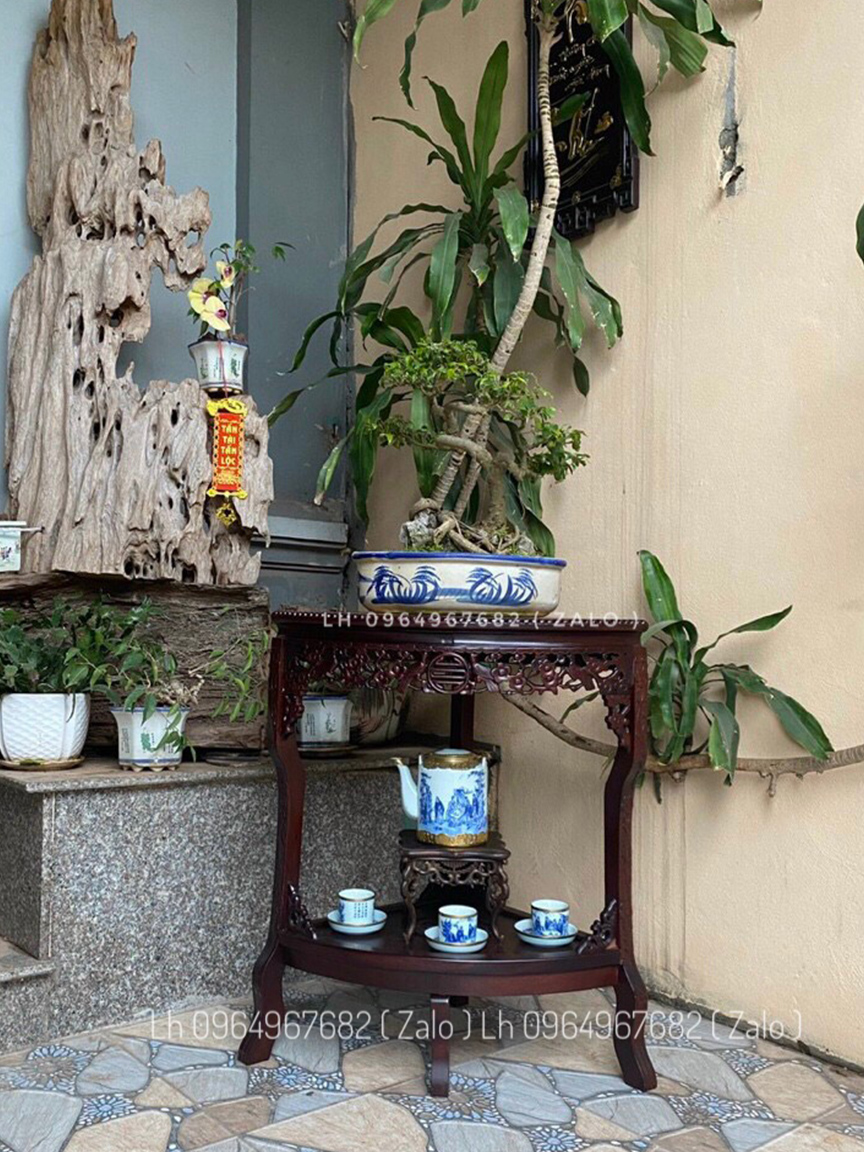 don-bay-do-hoa-mai-don-bay-do-go-gu-4