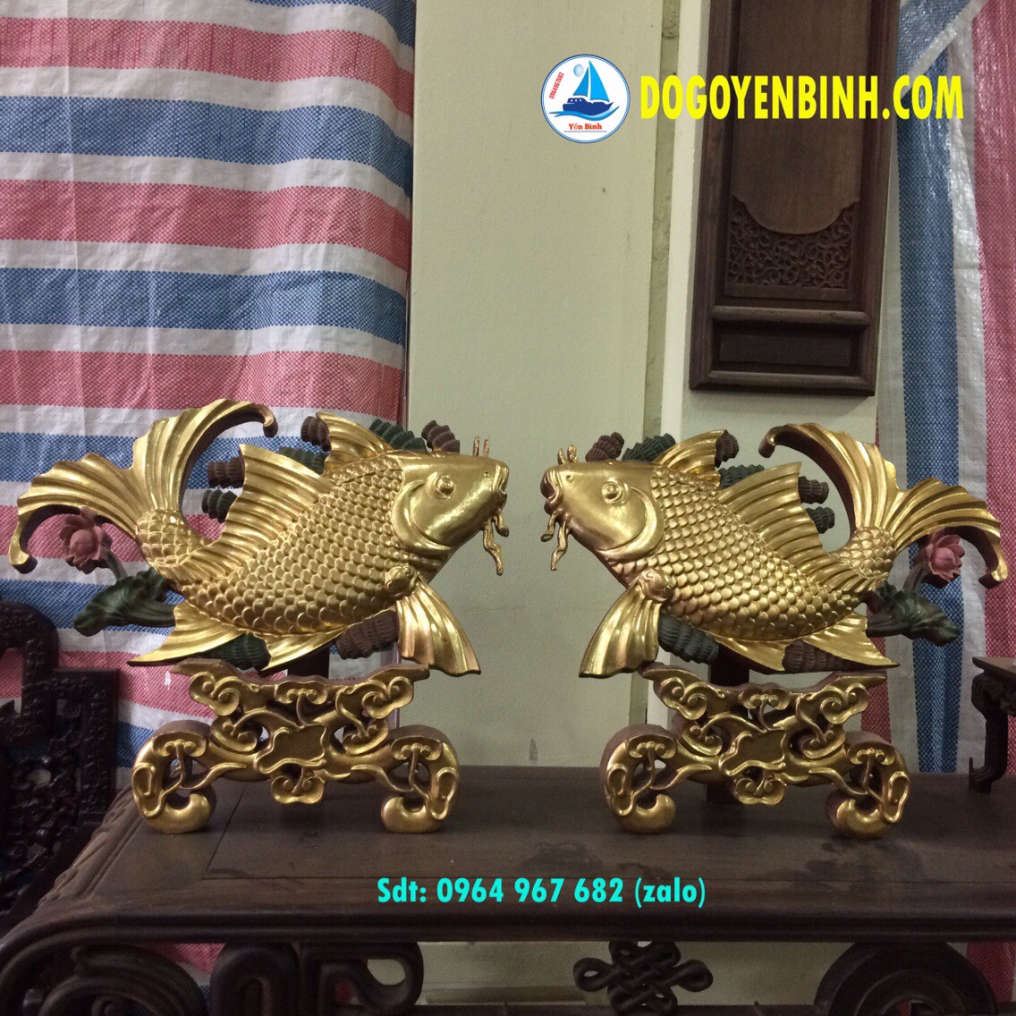 con-ca-chep-thiep-vang-2