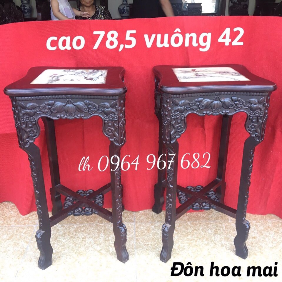 don-vuong-hoa-mai-1