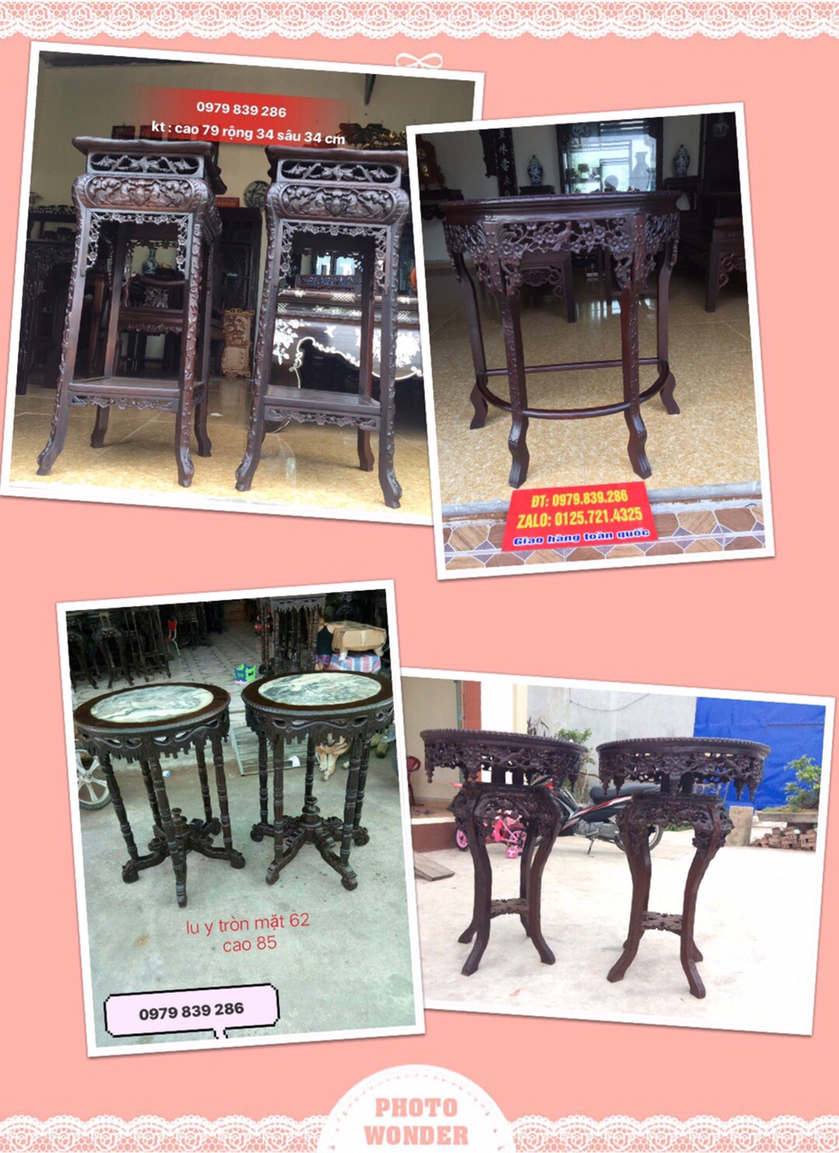 top-10-mau-don-loi-co-dep-tren-thi-truong