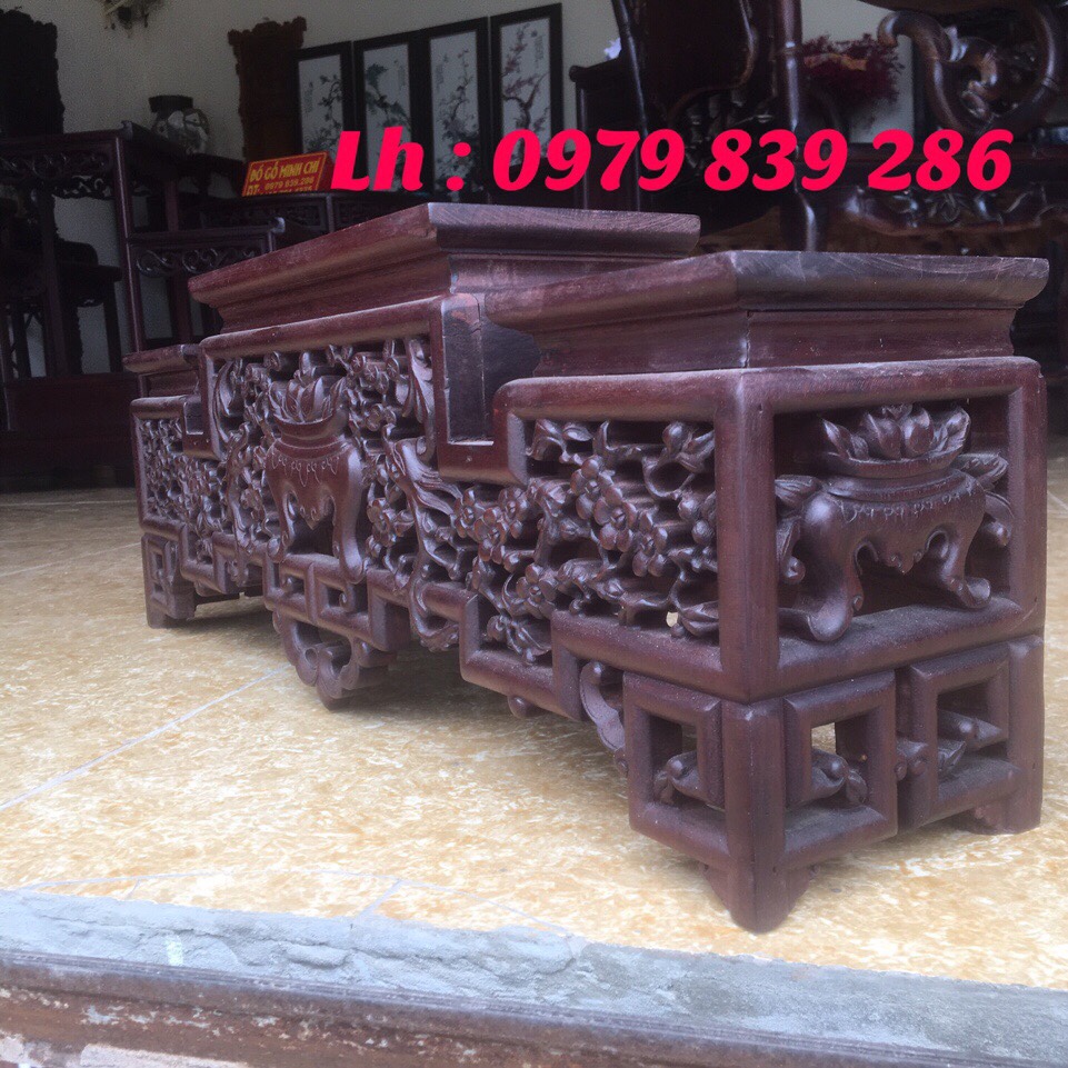 Tam-Son-Hoa-Mai-Ms-05-3