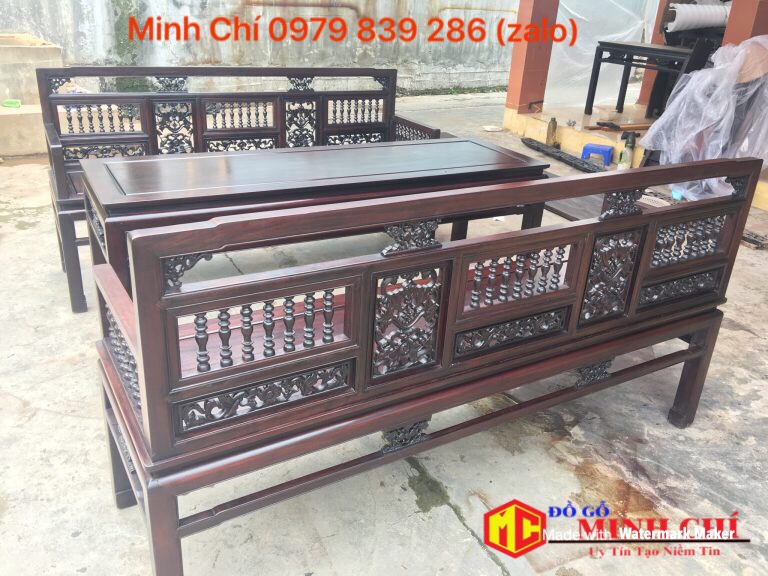 bo-truong-ky-song-tien-ban-dai