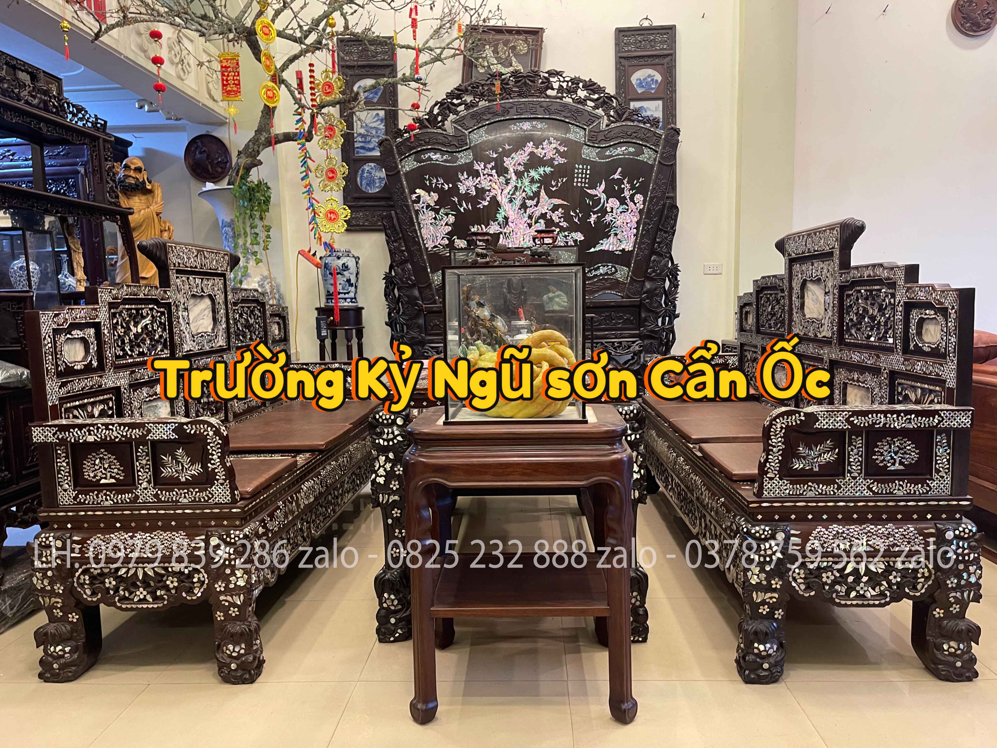 bo_truong_ky_ngu_son_can_oc_7