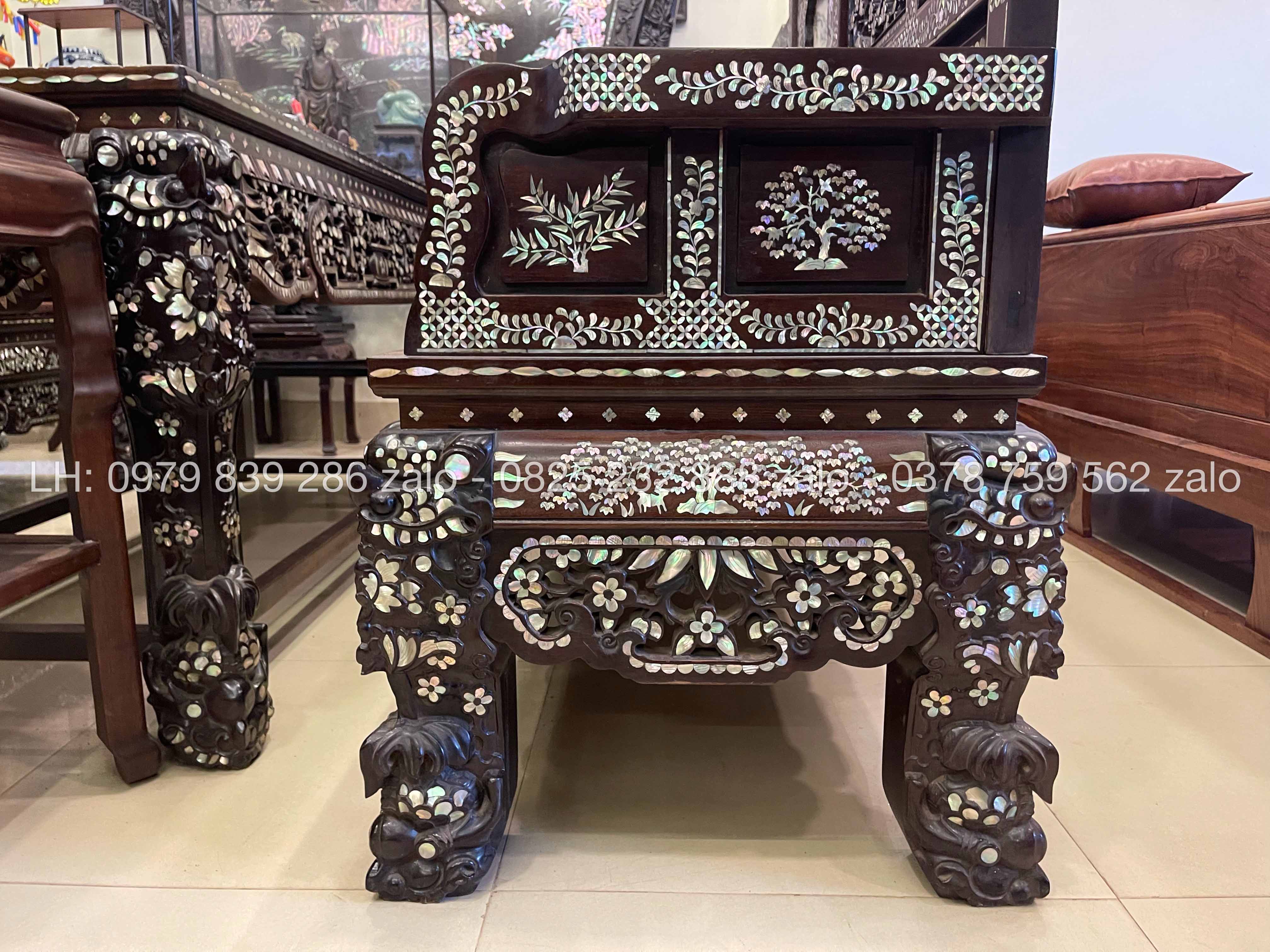 bo_truong_ky_ngu_son_can_oc_1