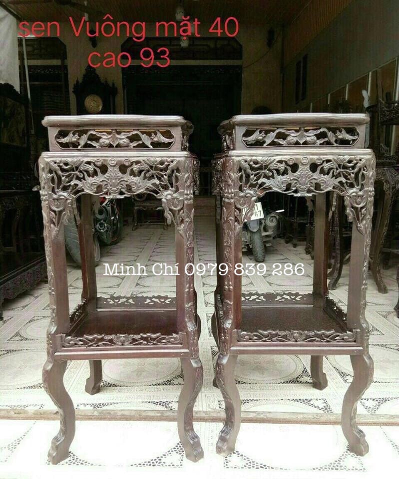 cap-don-sen-vuong-mat-da