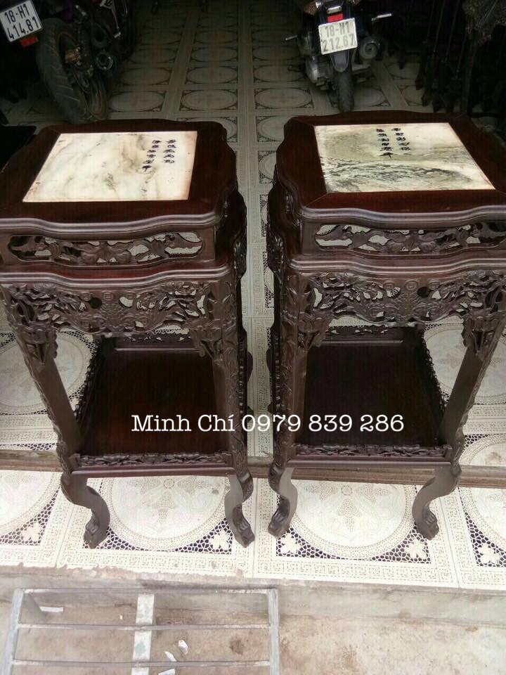 cap-don-sen-vuong-mat-da-1