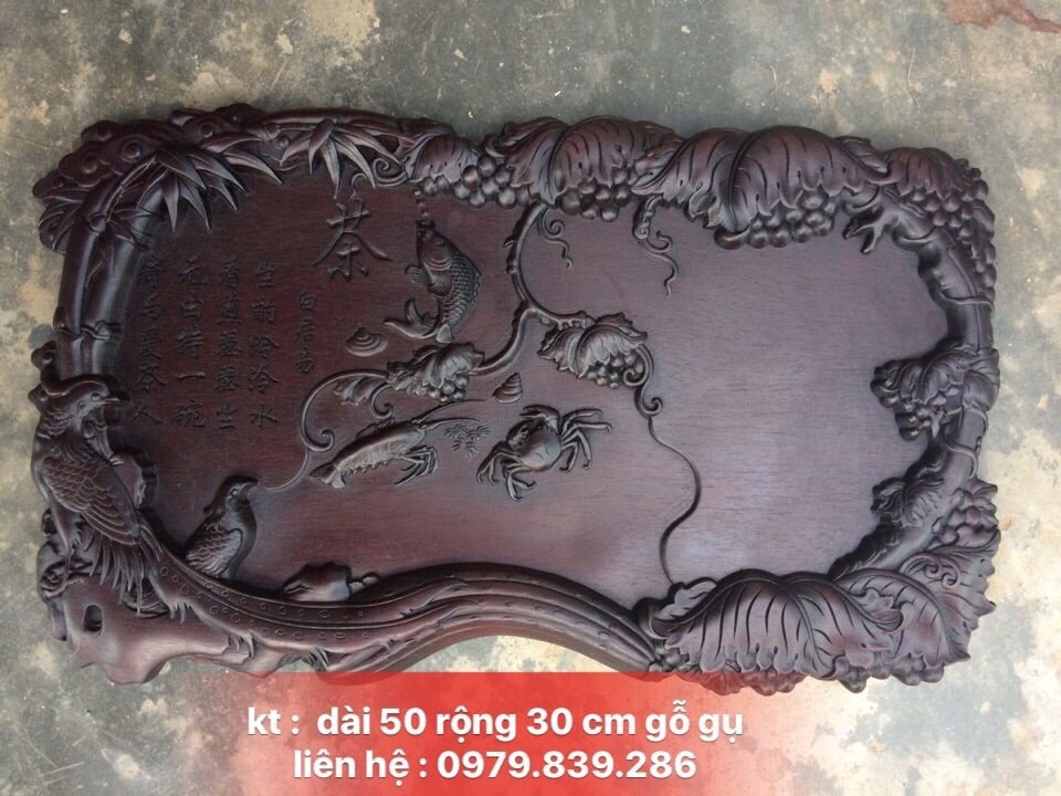 khay-tra-chim-ms-01-2