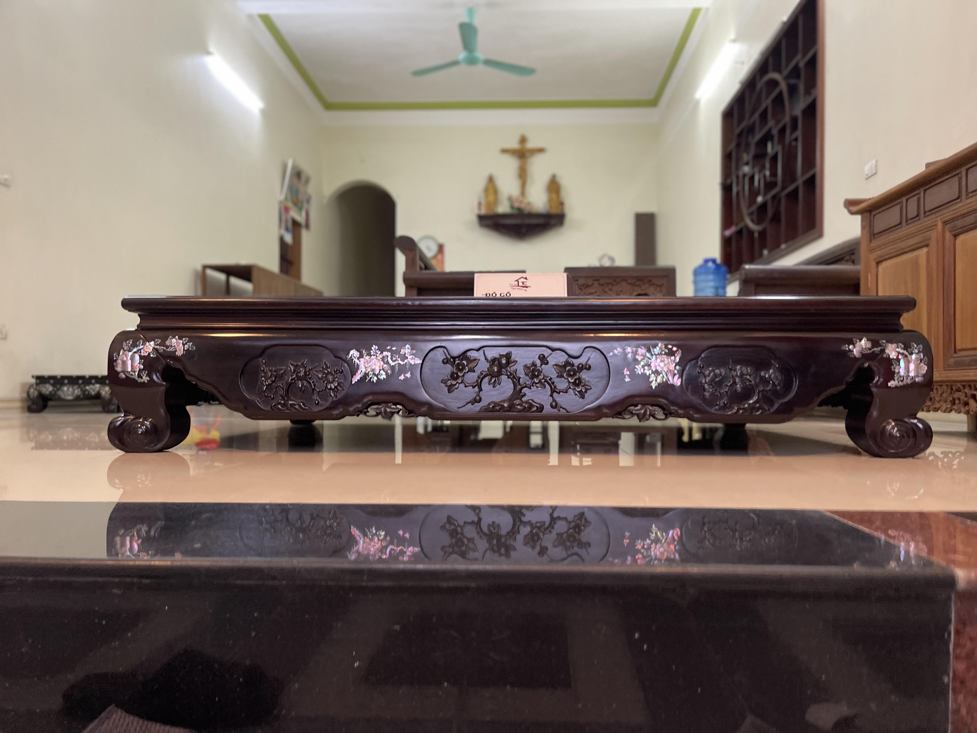 mau_sap_chan_quy_kham_oc_1