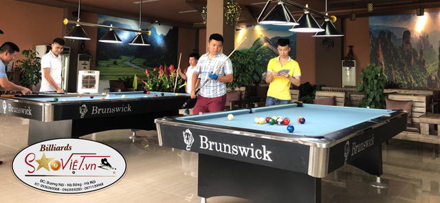 Bàn bida Brunswick-9019-9018