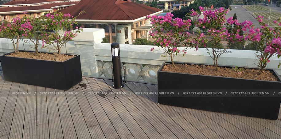 Chậu chữ nhật 150x45x50
