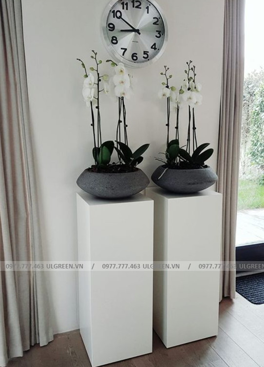 Đôn kê chậu 25x25x65