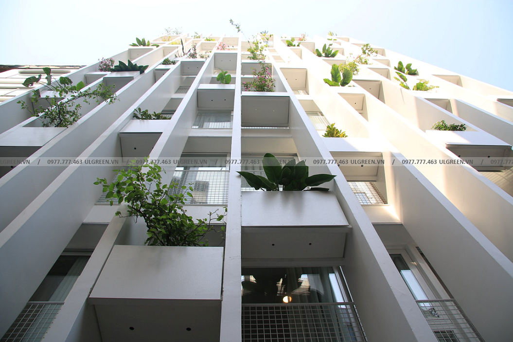 Dự án Chung cư Đào Tấn