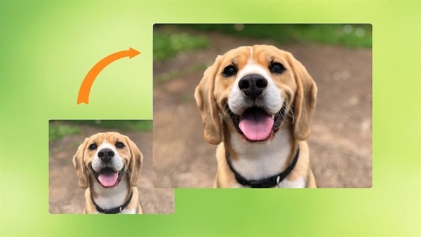 Phóng to ảnh để in không bị mờ và vỡ hạt hay mất chi tiết trên ảnh