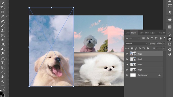 Tùy chỉnh kích thước hình ảnh sao cho phù hợp