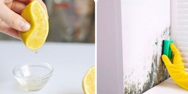 Tẩy vết mốc trên tường bằng nước cốt chanh