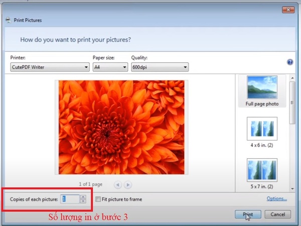 Cách in ảnh trên máy tính ở bước 3