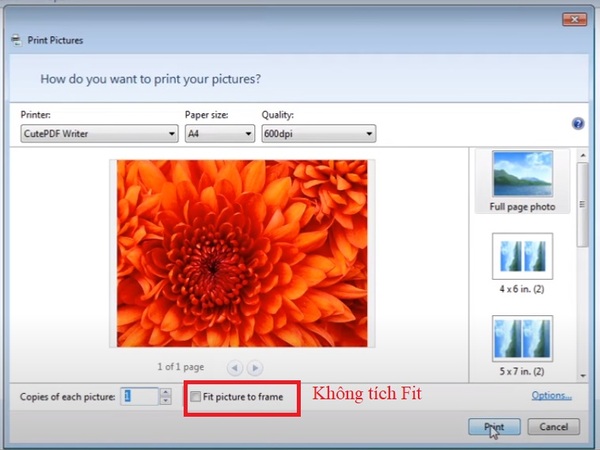 Cách in hình ảnh trên máy tính ở bước 4, trường hợp bạn không tích chọn Fit