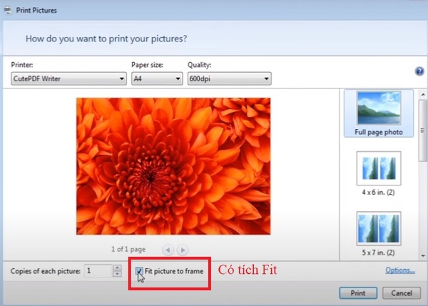 Cách in hình ảnh trên máy tính ở bước 4, trường hợp bạn tích chọn Fit
