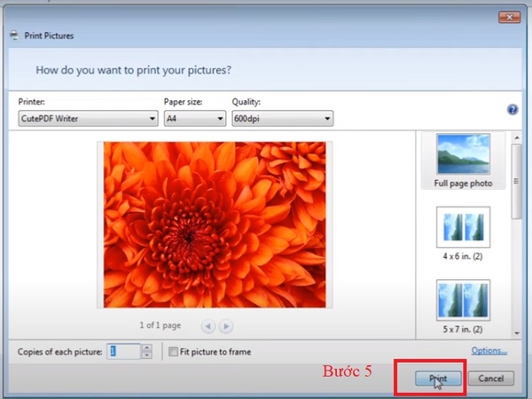 Cách in ảnh trên máy tính ở bước 5