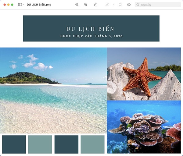 Ảnh sau khi ghép bằng Canva