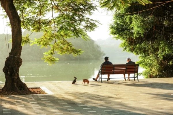 Một buổi chiều thong thả