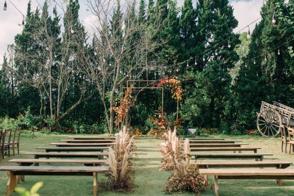 Background cưới phong cảnh thiên nhiên, thoáng mát