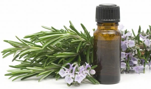 Khám phá những công dụng tuyệt vời từ tinh dầu tràm trà trị thâm