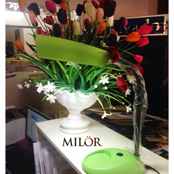 Lựa chọn đèn bàn học, đèn bàn làm việc theo tiêu chí đèn bàn chống cận