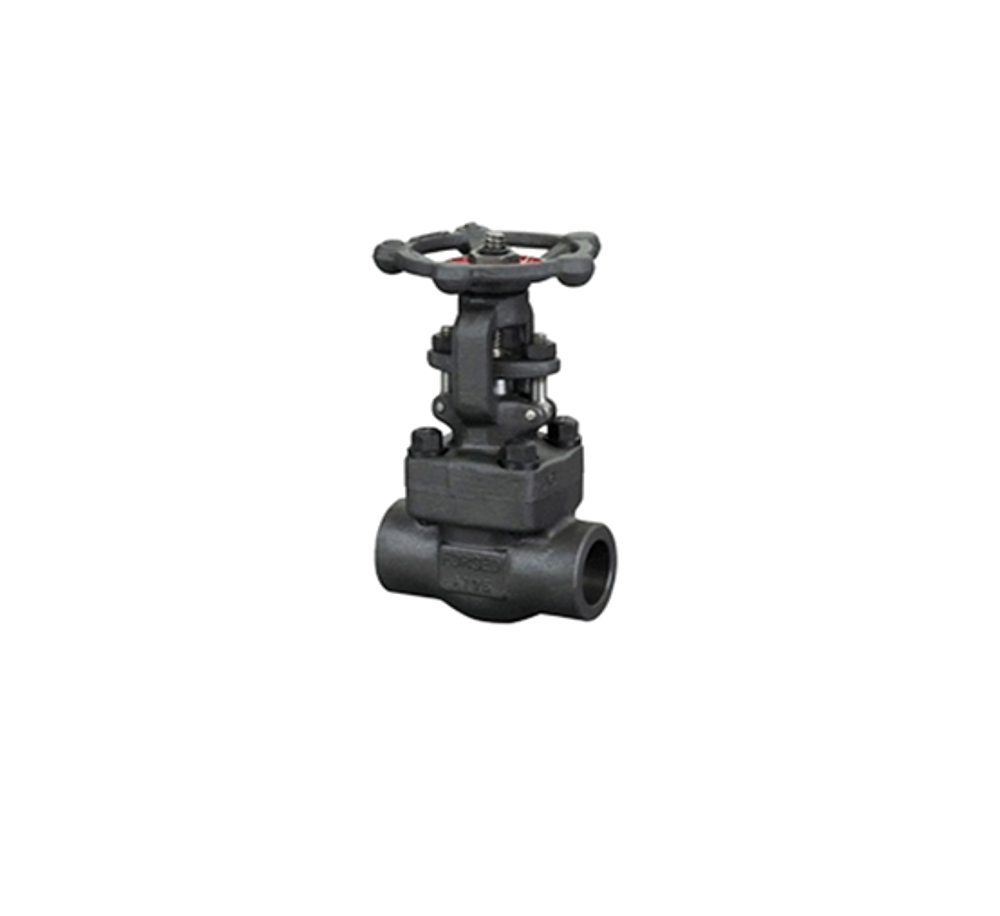 Van Cổng Bằng Thép Đúc Nối Ren NPT