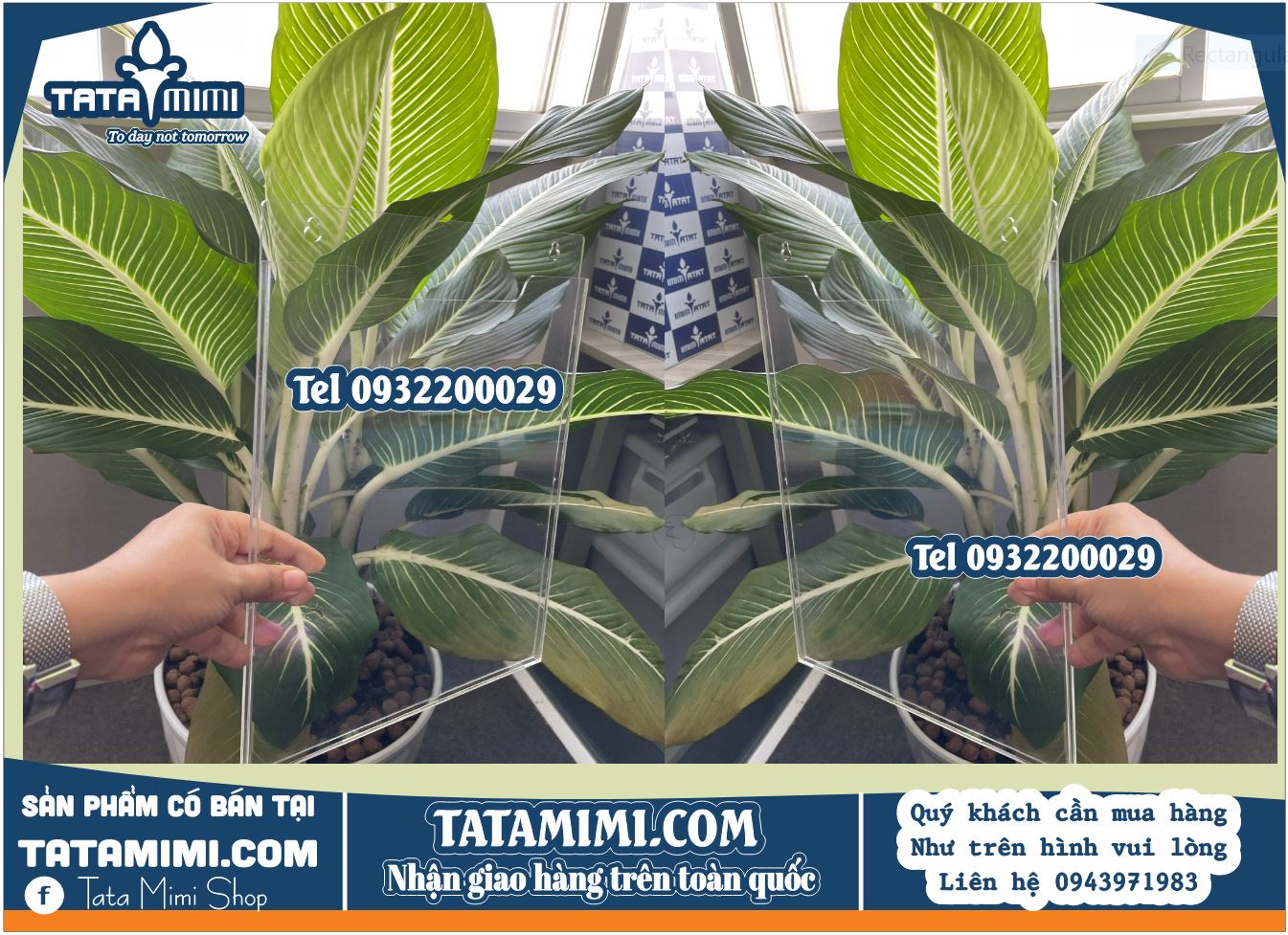 Kệ checklist mica A4 treo tường tiện lợi: Giải pháp quản lý công việc hiệu quả