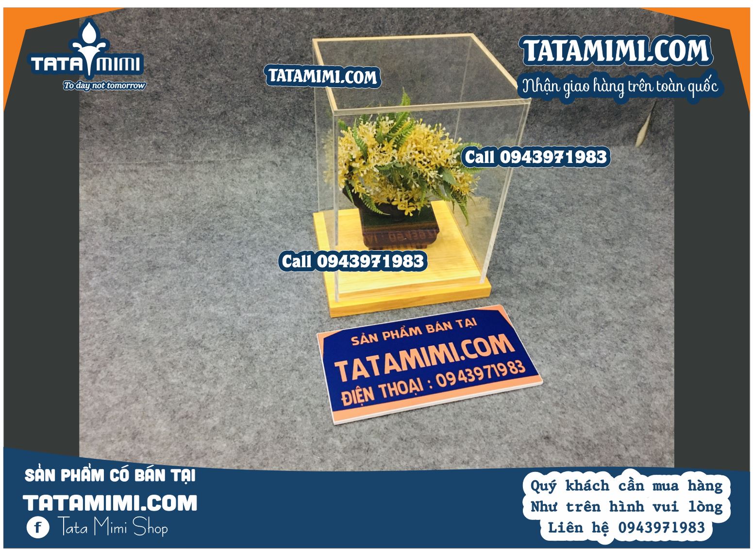 Hộp Chụp Mica Đế Gỗ: Sự Kết Hợp Hoàn Hảo Giữa Sáng Tạo Và Tinh Tế