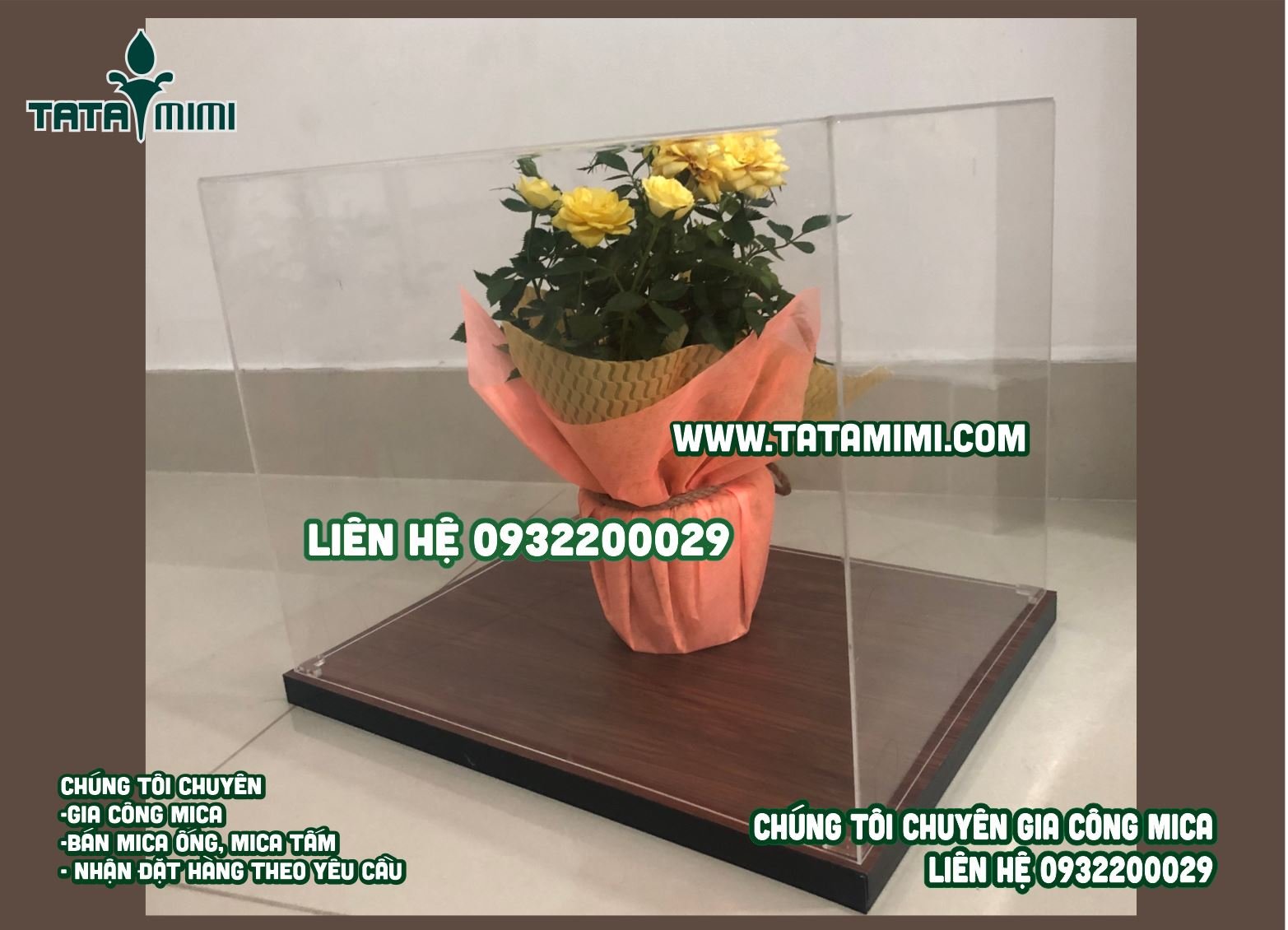 Các hộp chụp làm theo kích thước kết hợp cùng đế gỗ hoặc mica