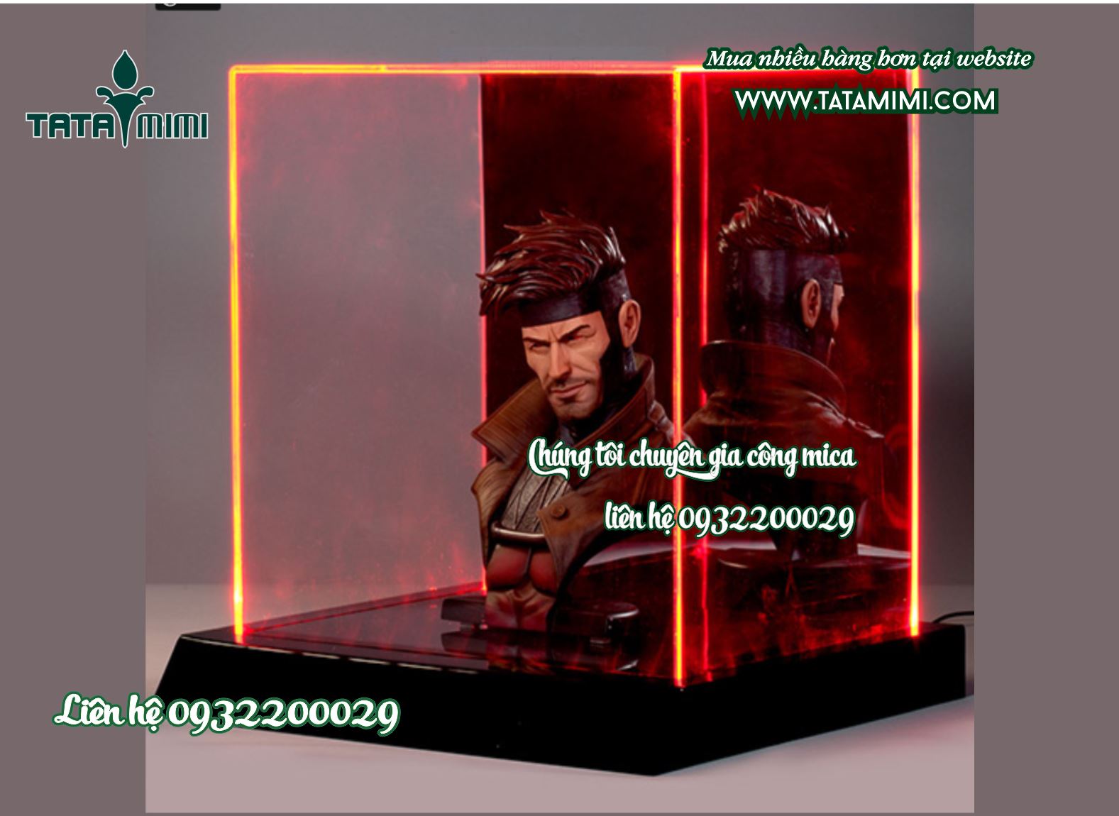 Các hộp chụp làm theo kích thước kết hợp cùng đế gỗ hoặc mica