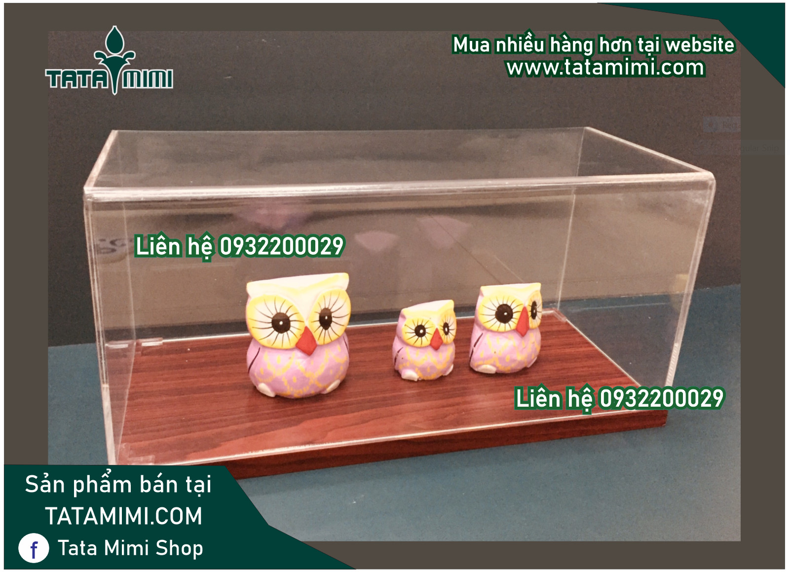 Hộp chụp với nhiều kích thước và đế gỗ bồi decal