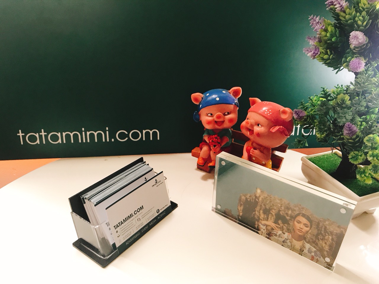Kệ card từ các màu mica có độ dày 2mm
