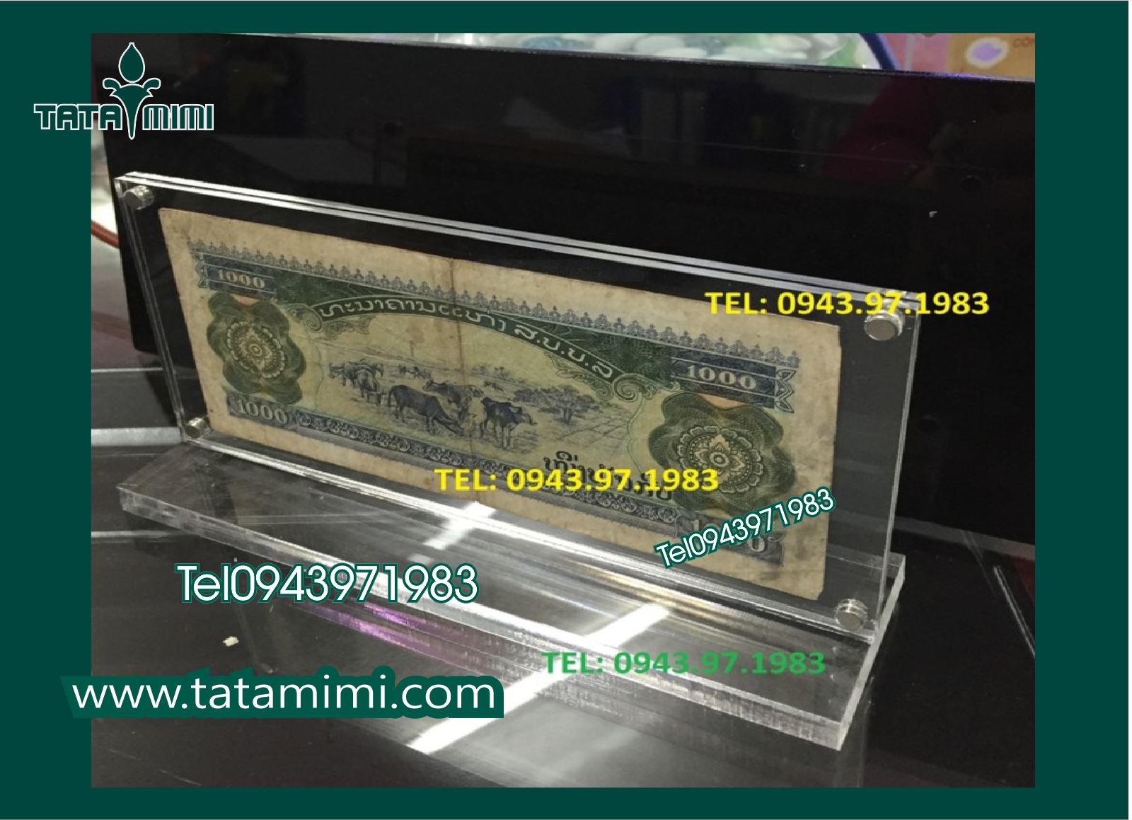 Khung mica để tiền lưu niệm