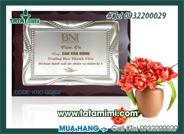 Kỷ niệm chương, cúp lưu niệm, quà tặng mica