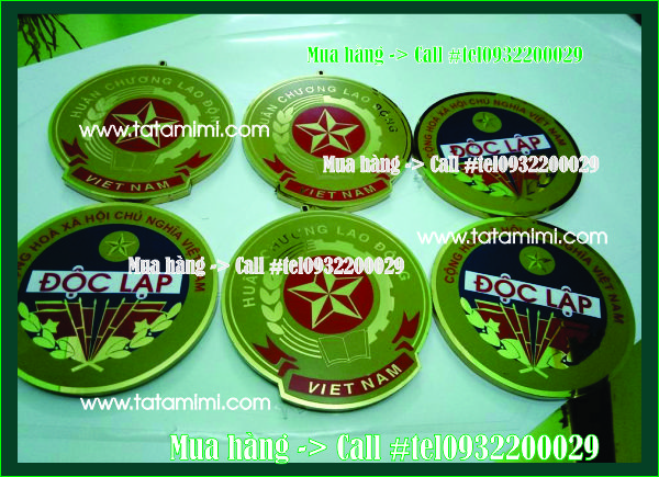 lam-quoc-huy-bang-dong-an-mon-dien-phan