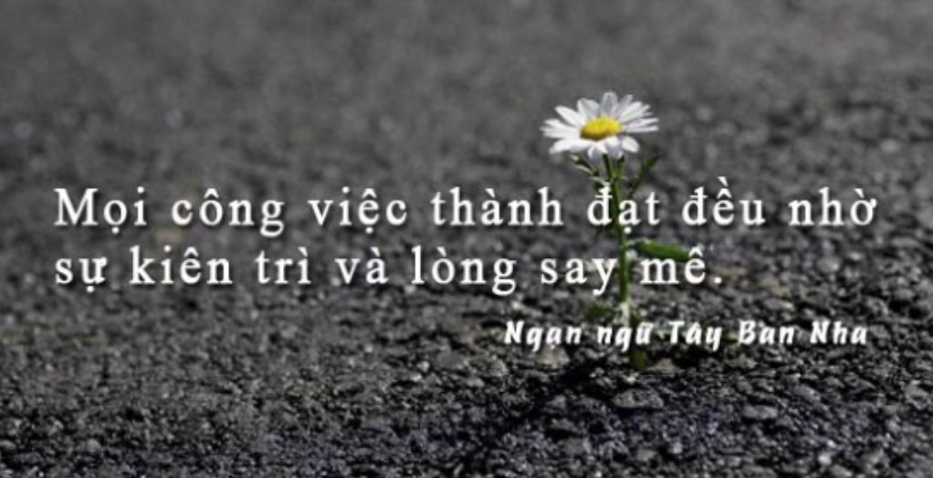 Thăng hoa cũng làm cho con người ta nhanh nhàm chán, Mà nhàm chán nhiều quá cũng khiến cho tôi thăng hoa